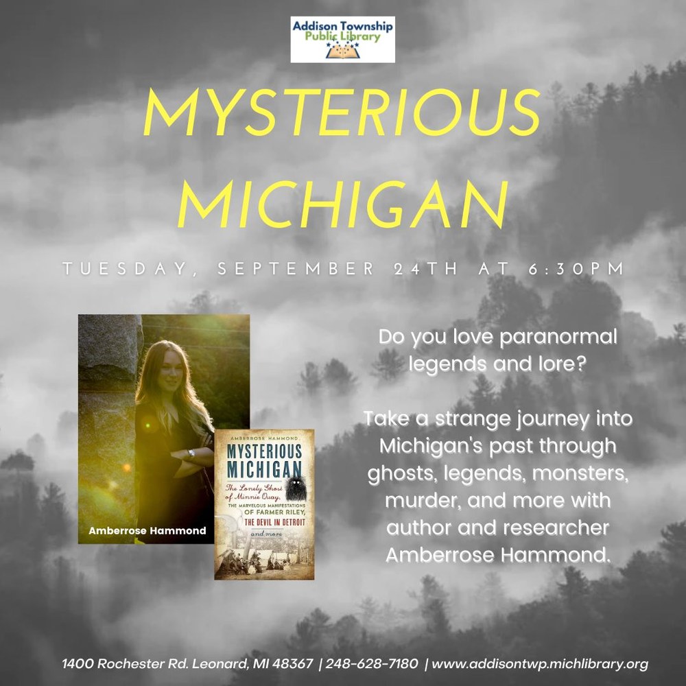 Mysterious Michigan Flyer